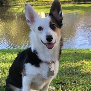 Meet your Posher, Samantha